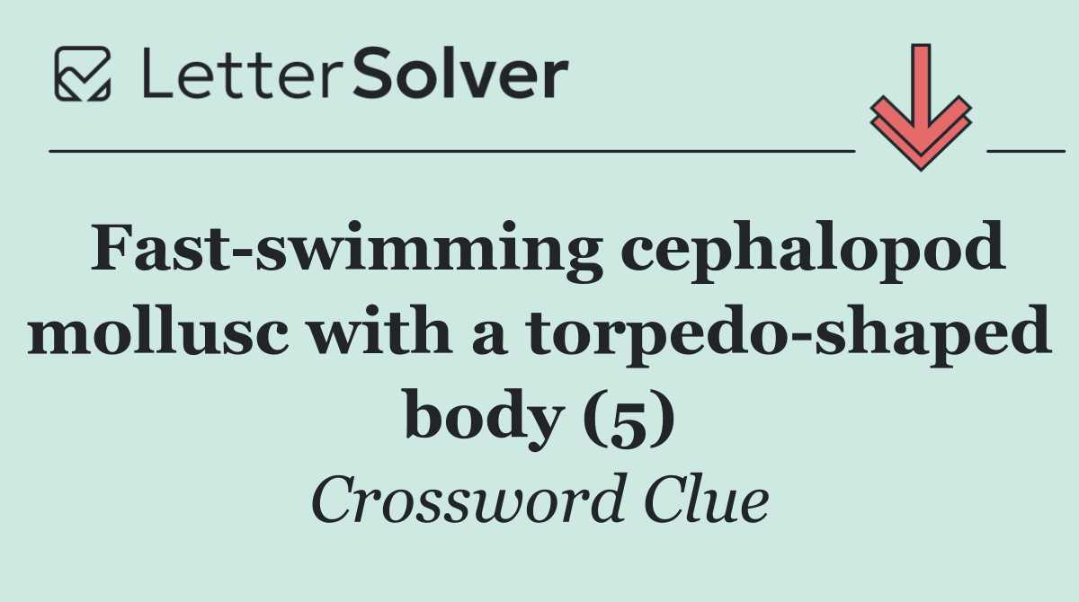 Fast swimming cephalopod mollusc with a torpedo shaped body (5)