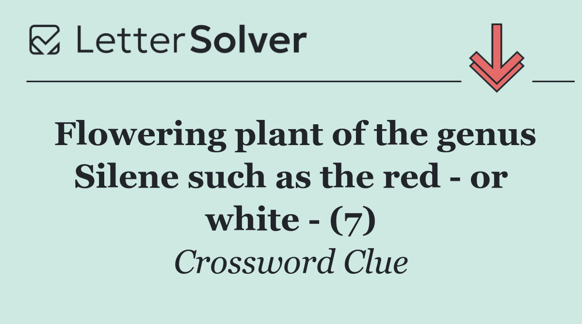 Flowering plant of the genus Silene such as the red   or white   (7)