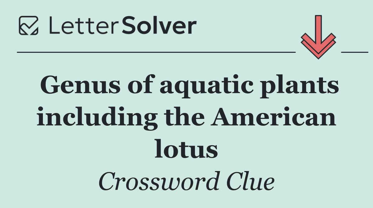 Genus of aquatic plants including the American lotus