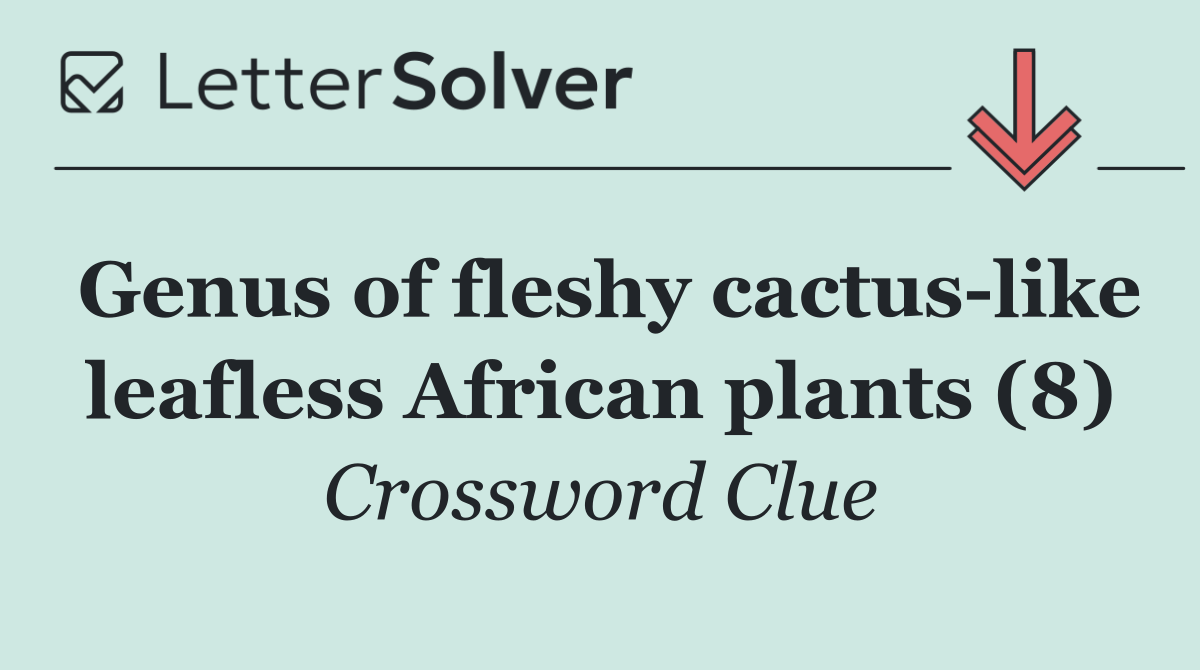 Genus of fleshy cactus like leafless African plants (8)