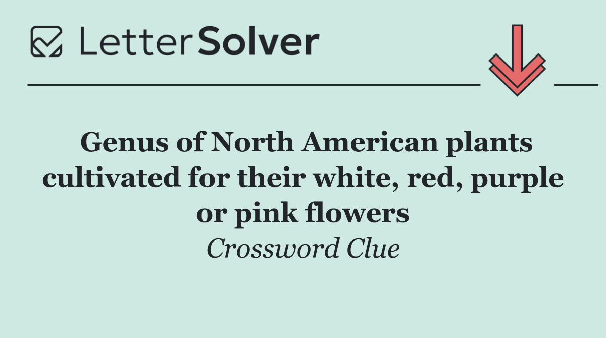 Genus of North American plants cultivated for their white, red, purple or pink flowers