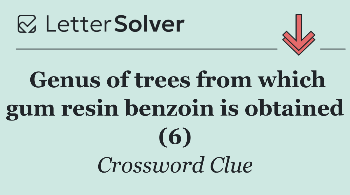 Genus of trees from which gum resin benzoin is obtained (6)