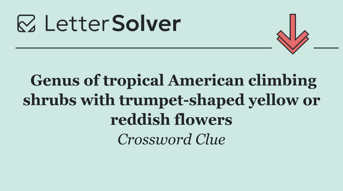 Genus of tropical American climbing shrubs with trumpet shaped yellow or reddish flowers