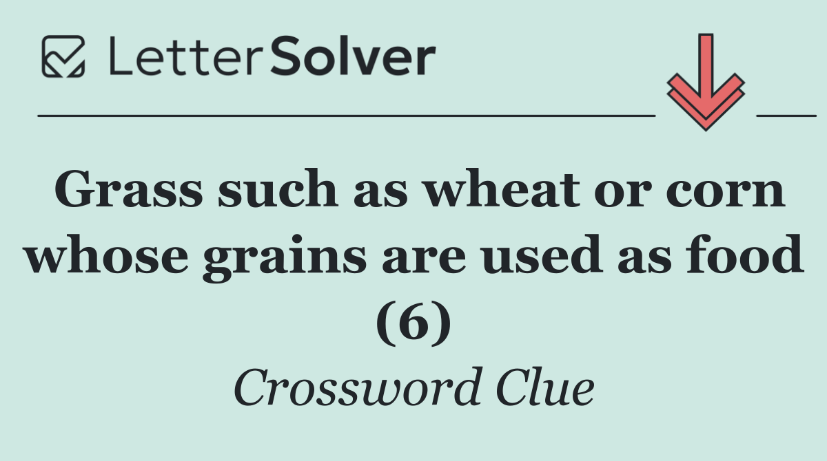 Grass such as wheat or corn whose grains are used as food (6)
