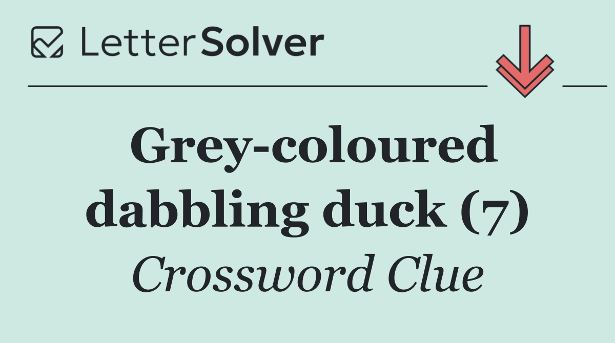 Grey coloured dabbling duck (7)