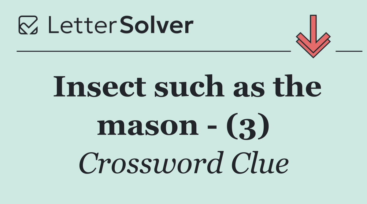 Insect such as the mason   (3)