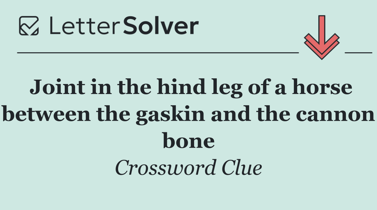 Joint in the hind leg of a horse between the gaskin and the cannon bone
