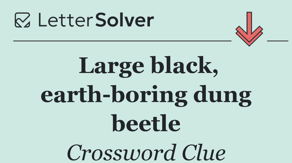Large black, earth boring dung beetle