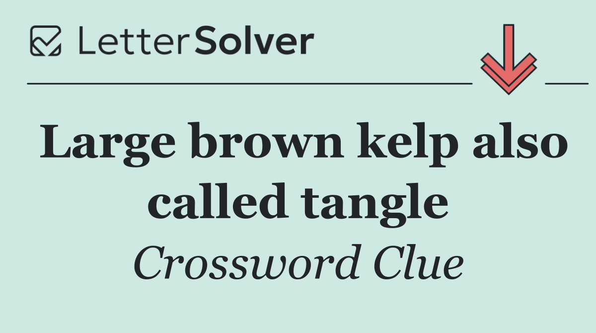 Large brown kelp also called tangle