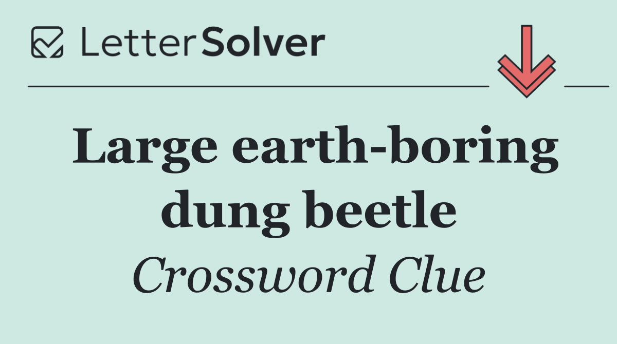 Large earth boring dung beetle
