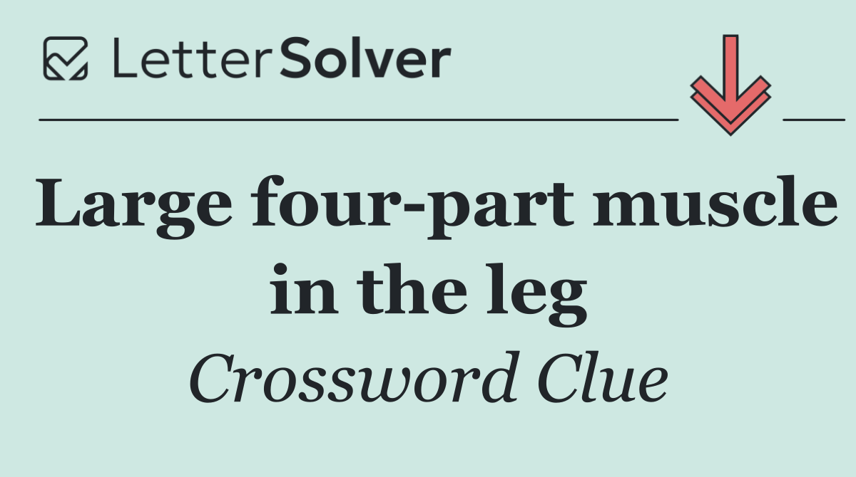 Large four part muscle in the leg