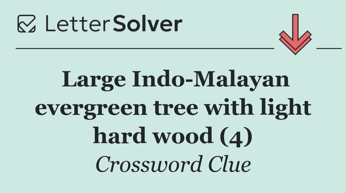 Large Indo Malayan evergreen tree with light hard wood (4)