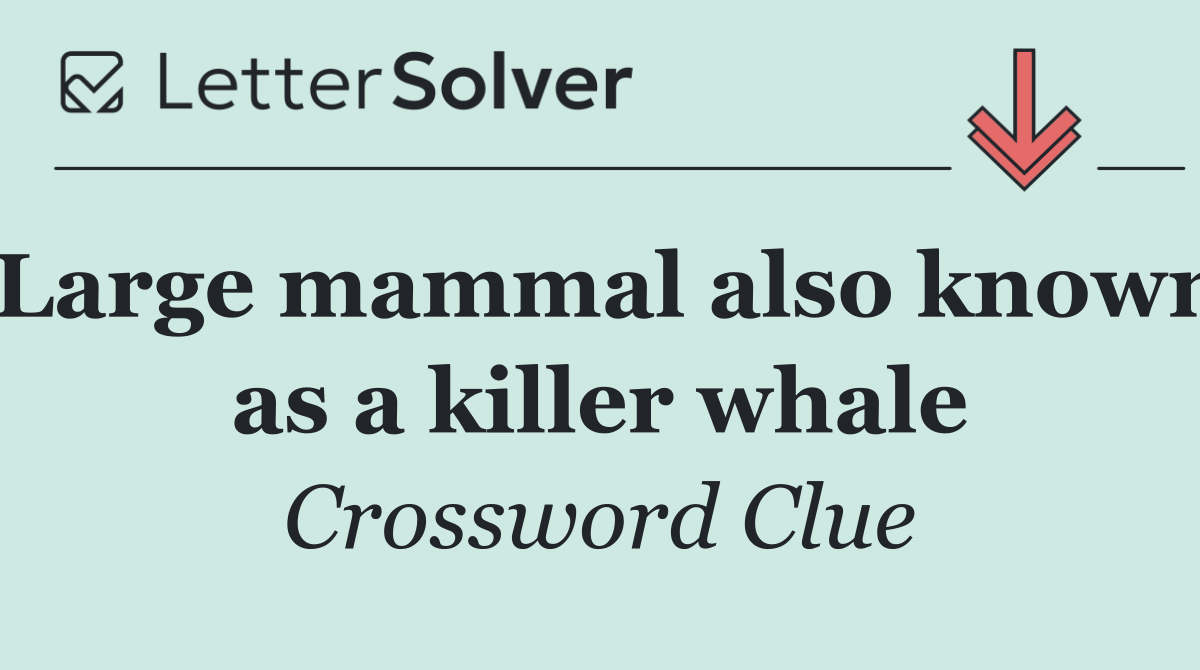 Large mammal also known as a killer whale