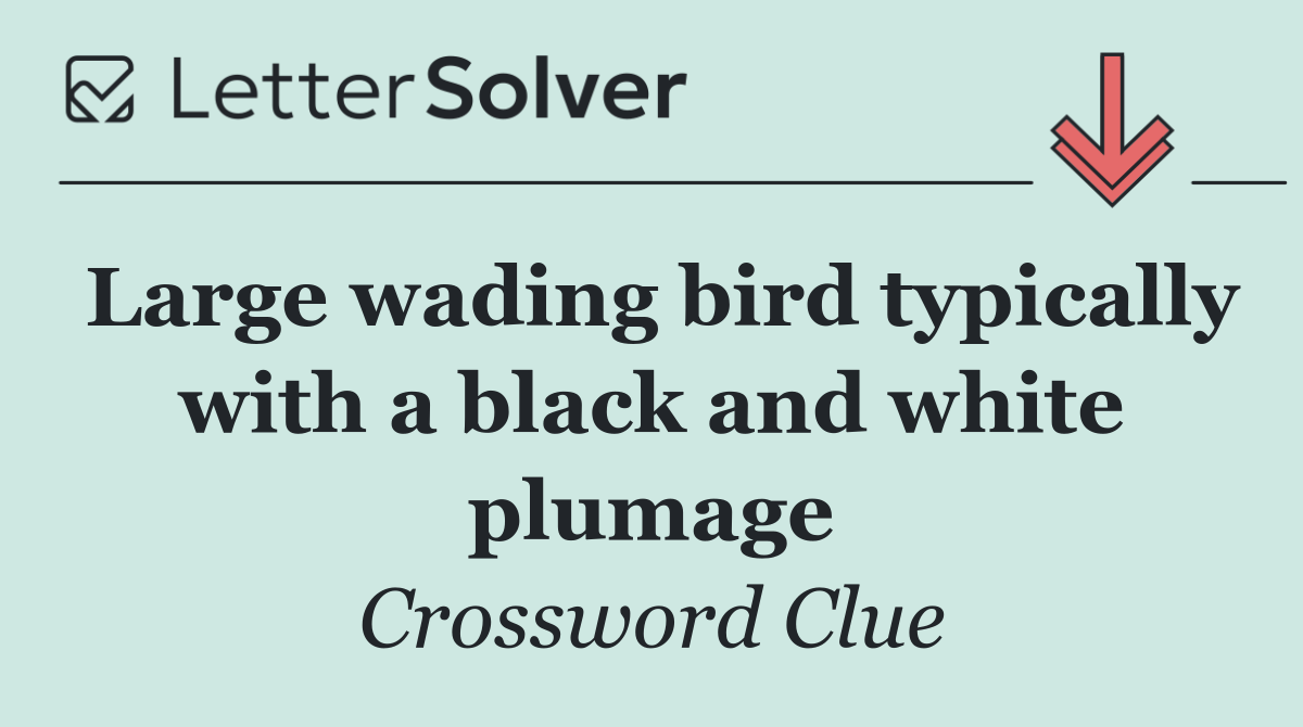 Large wading bird typically with a black and white plumage