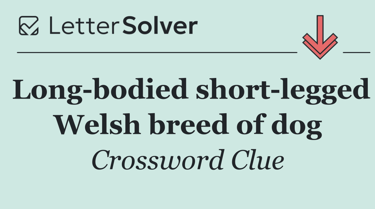 Long bodied short legged Welsh breed of dog