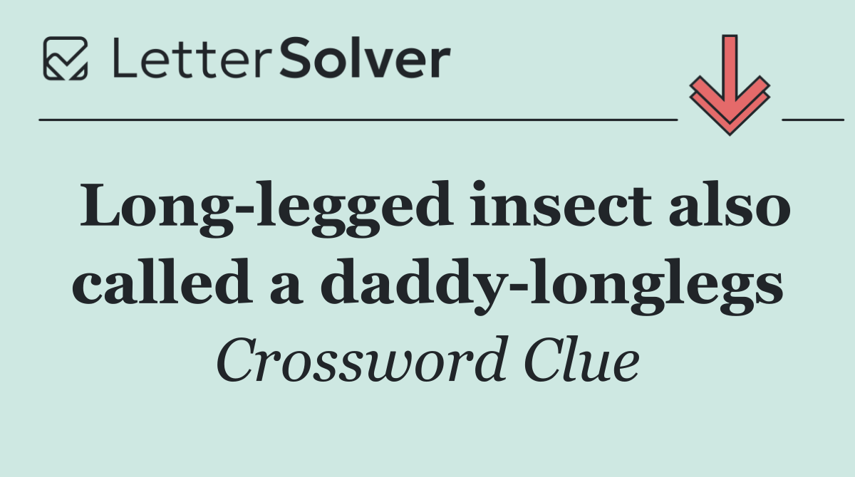 Long legged insect also called a daddy longlegs