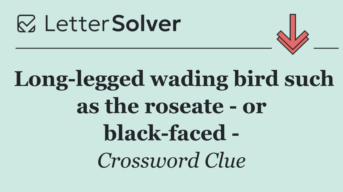 Long legged wading bird such as the roseate   or black faced  