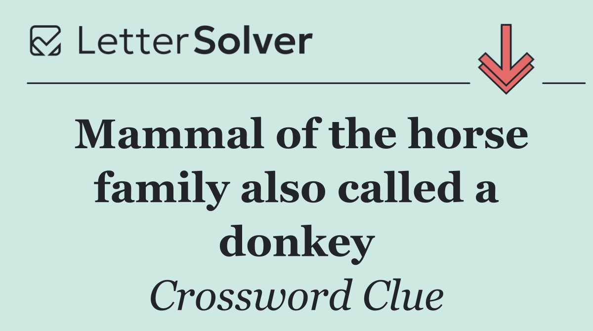 Mammal of the horse family also called a donkey