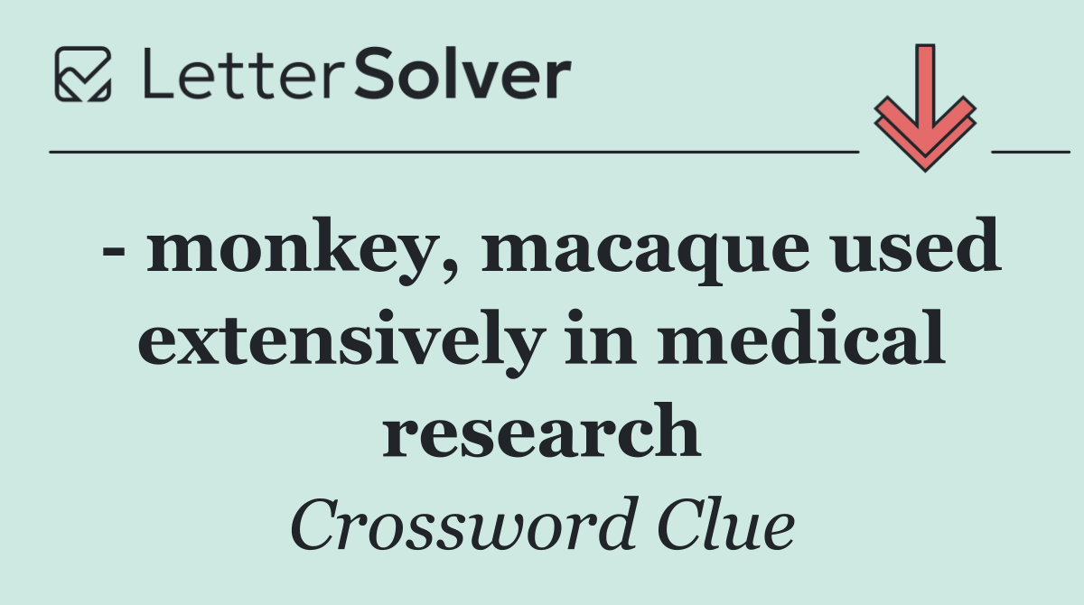   monkey, macaque used extensively in medical research