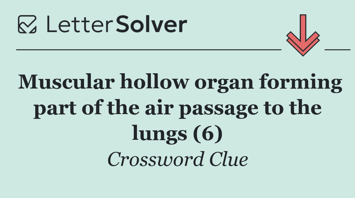 Muscular hollow organ forming part of the air passage to the lungs (6)