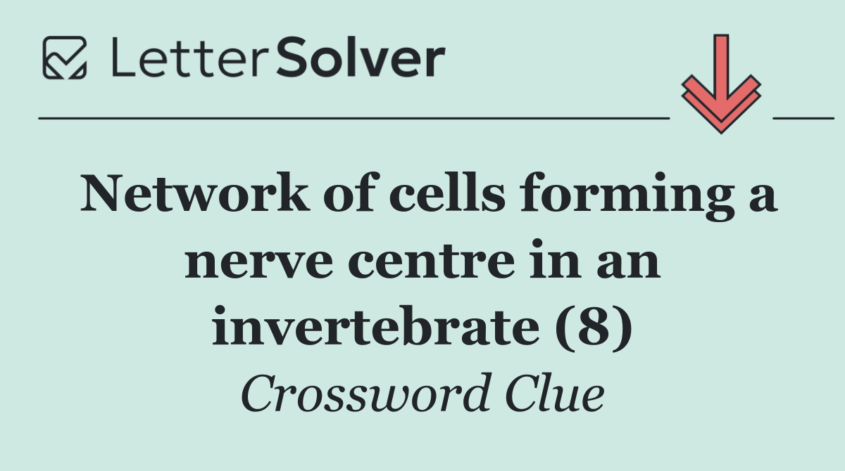 Network of cells forming a nerve centre in an invertebrate (8)