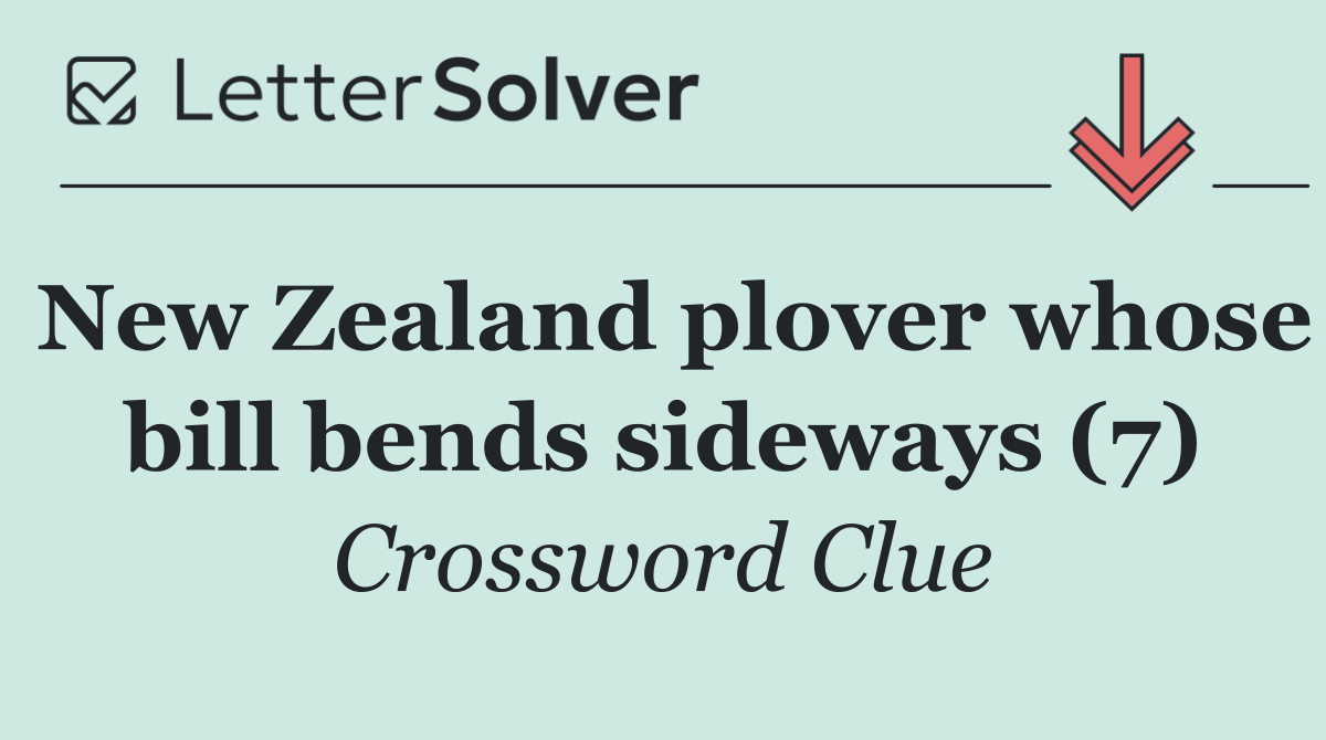 New Zealand plover whose bill bends sideways (7)