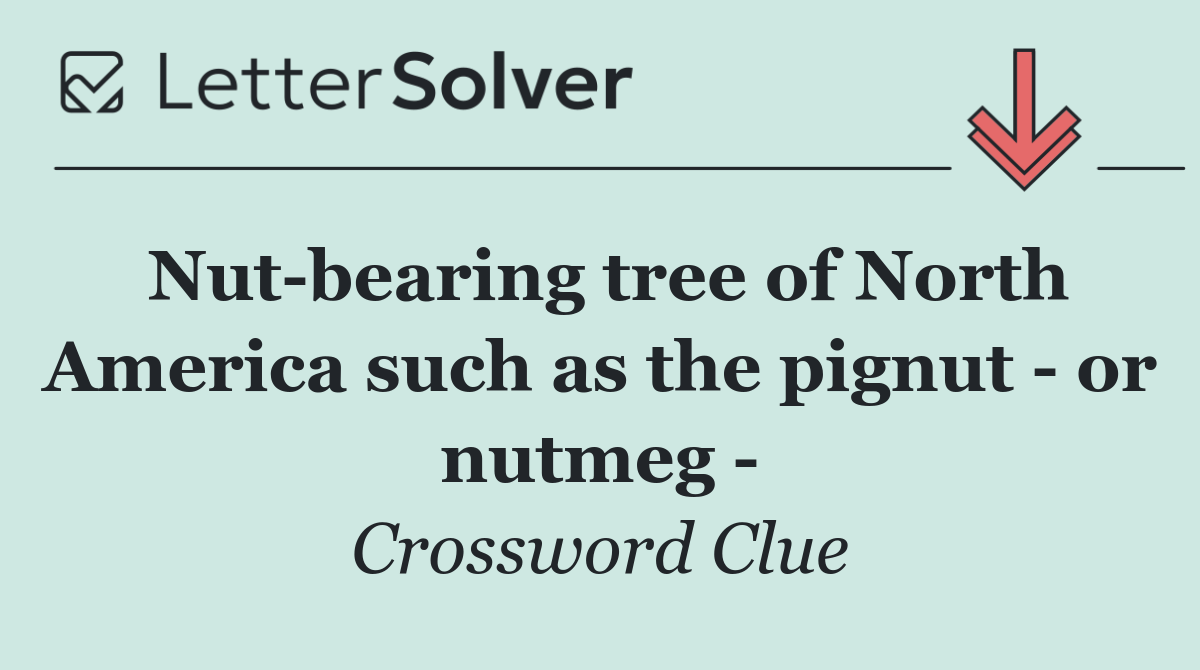 Nut bearing tree of North America such as the pignut   or nutmeg  