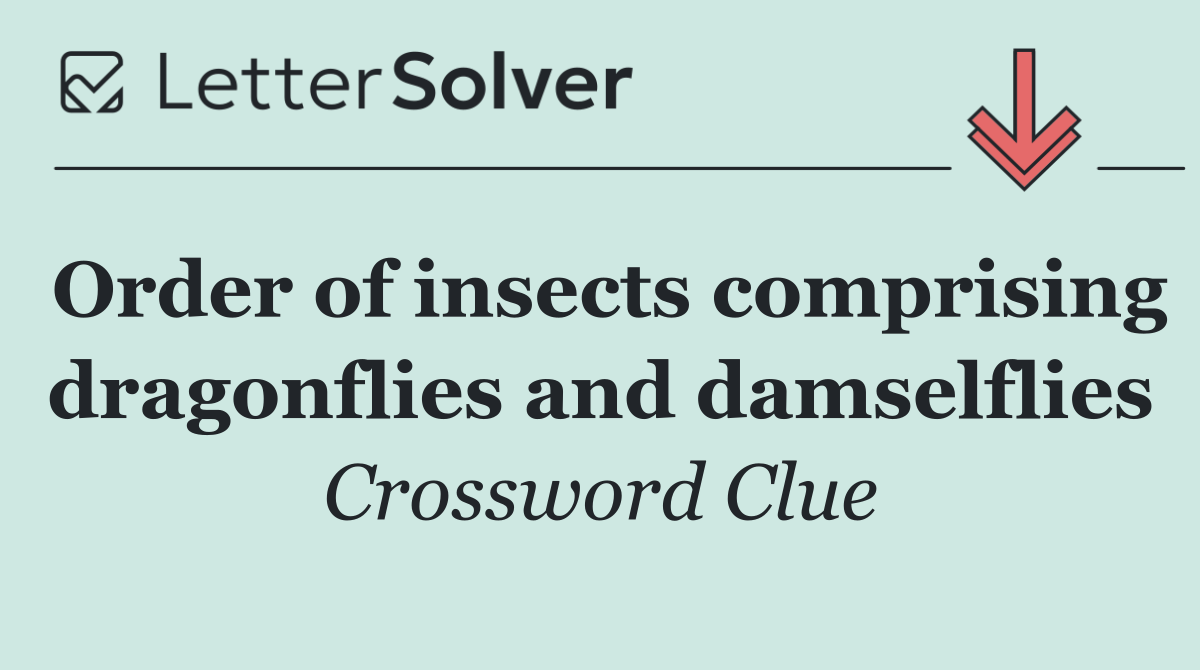 Order of insects comprising dragonflies and damselflies