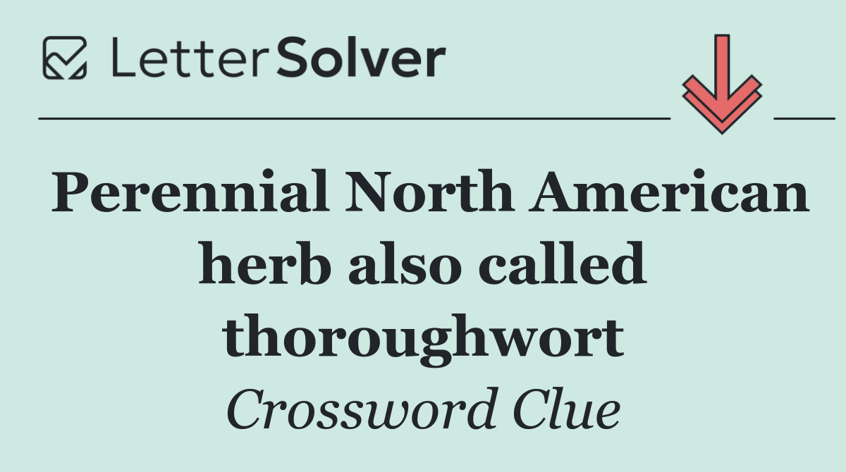 Perennial North American herb also called thoroughwort