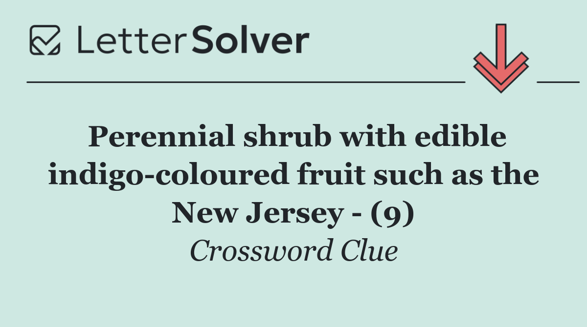 Perennial shrub with edible indigo coloured fruit such as the New Jersey   (9)