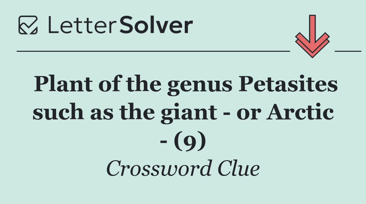 Plant of the genus Petasites such as the giant   or Arctic   (9)