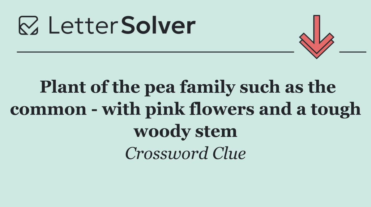 Plant of the pea family such as the common   with pink flowers and a tough woody stem