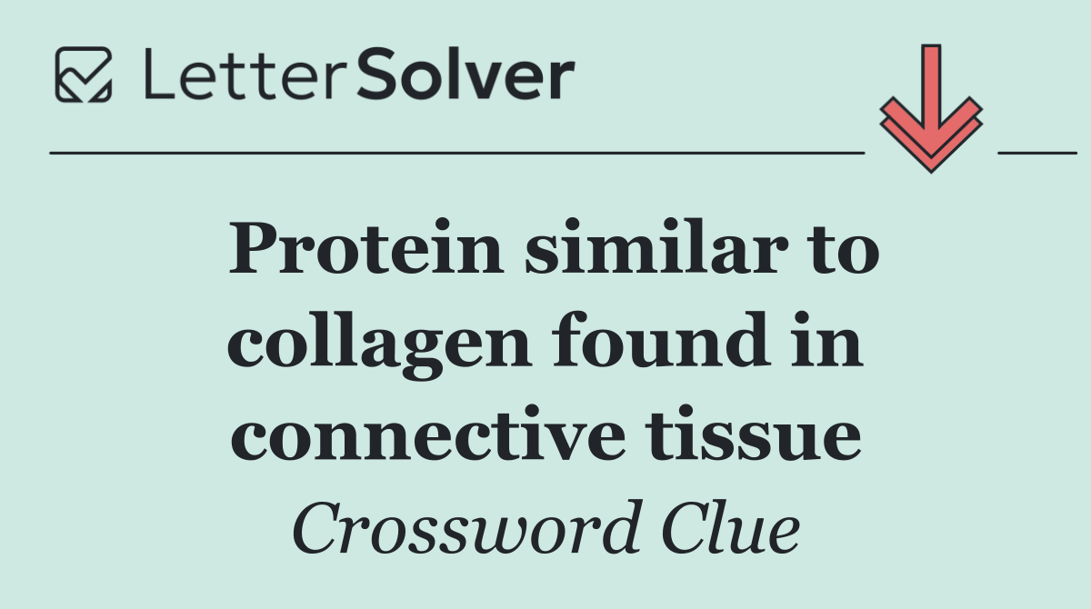 Protein similar to collagen found in connective tissue