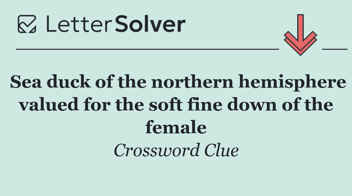 Sea duck of the northern hemisphere valued for the soft fine down of the female