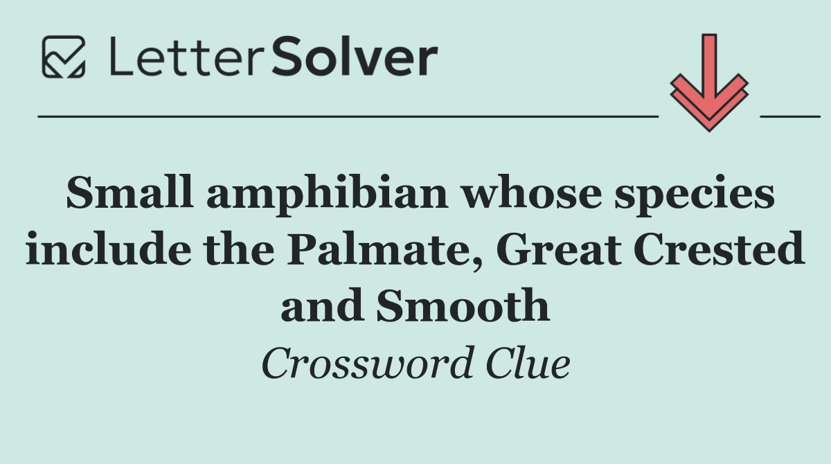 Small amphibian whose species include the Palmate, Great Crested and Smooth