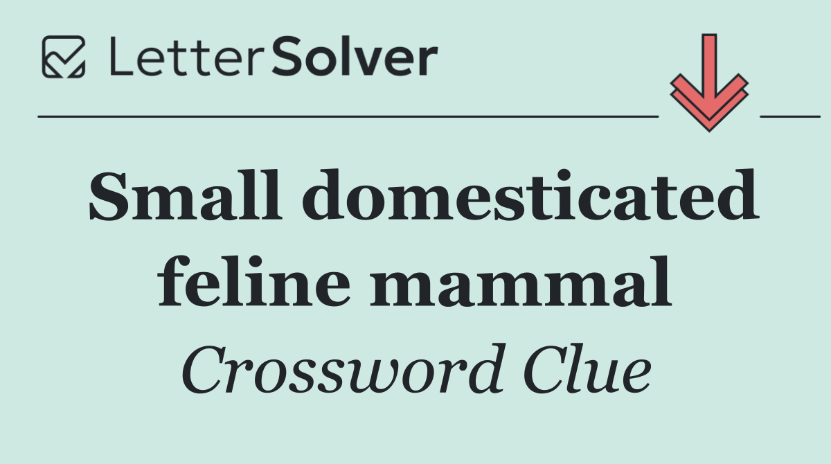 Small domesticated feline mammal