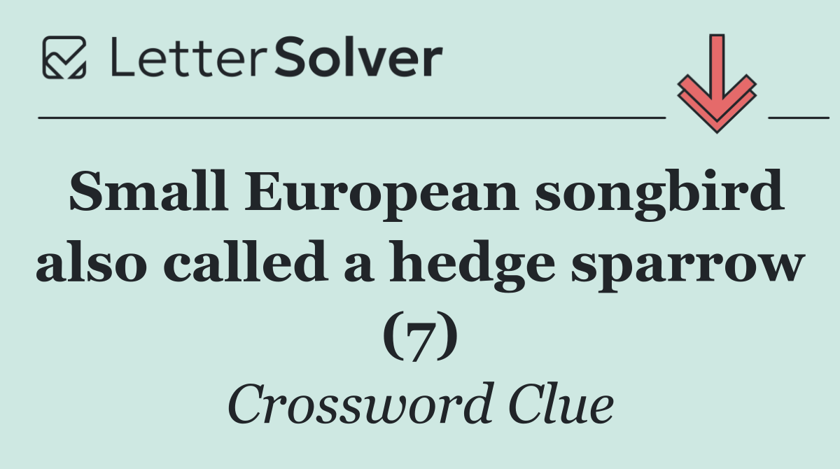 Small European songbird also called a hedge sparrow (7)