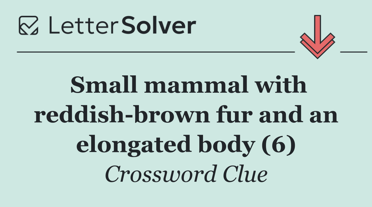 Small mammal with reddish brown fur and an elongated body (6)