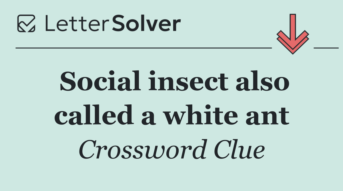 Social insect also called a white ant