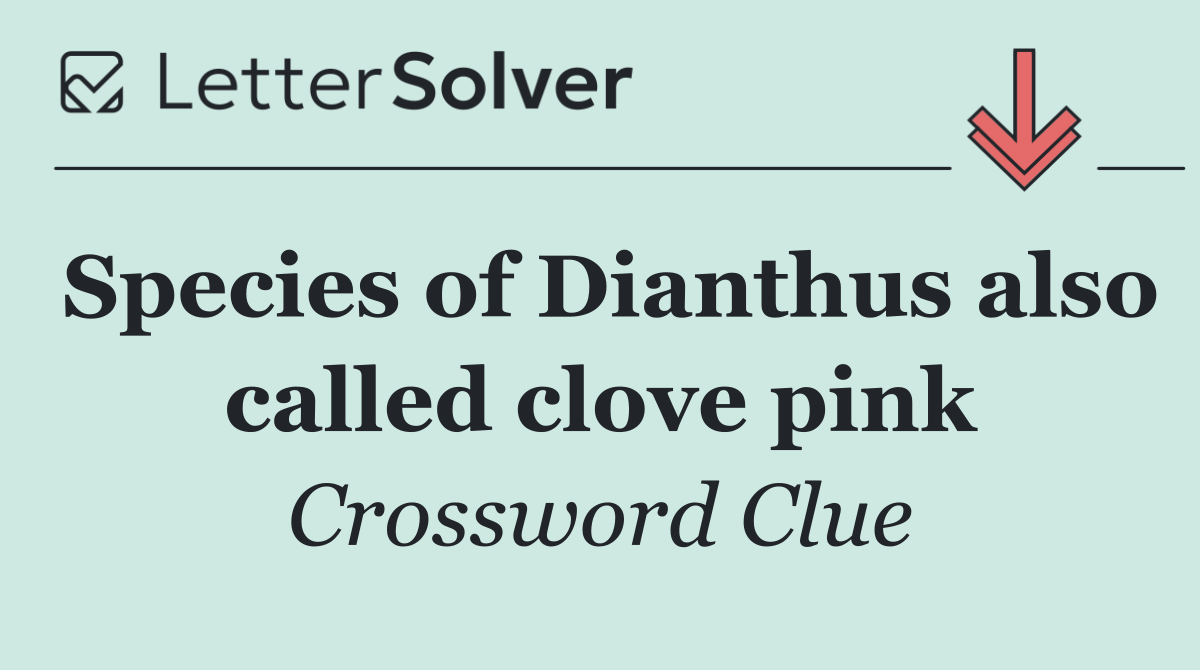 Species of Dianthus also called clove pink