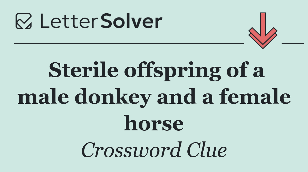 Sterile offspring of a male donkey and a female horse