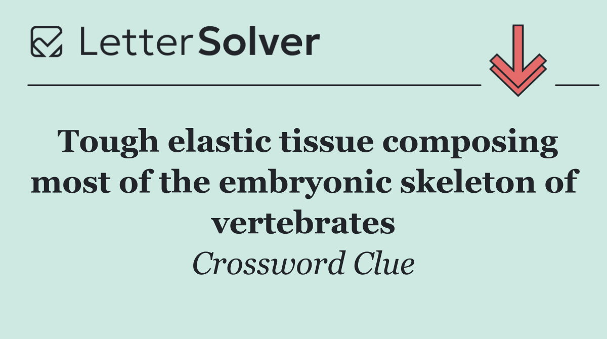 Tough elastic tissue composing most of the embryonic skeleton of vertebrates