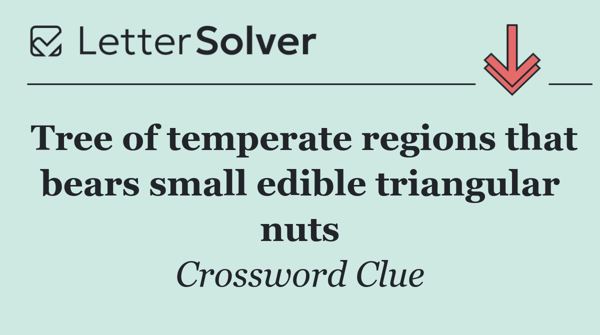 Tree of temperate regions that bears small edible triangular nuts