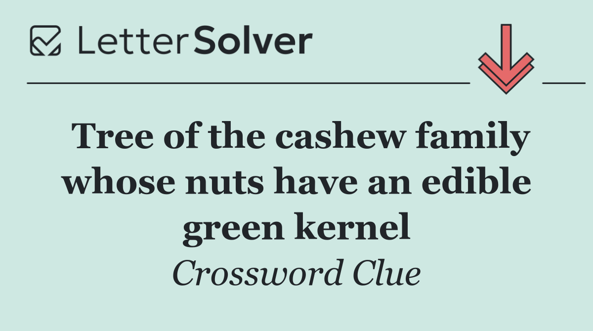 Tree of the cashew family whose nuts have an edible green kernel