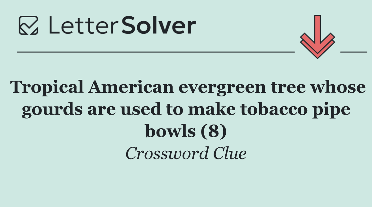 Tropical American evergreen tree whose gourds are used to make tobacco pipe bowls (8)