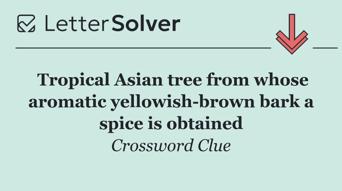 Tropical Asian tree from whose aromatic yellowish brown bark a spice is obtained