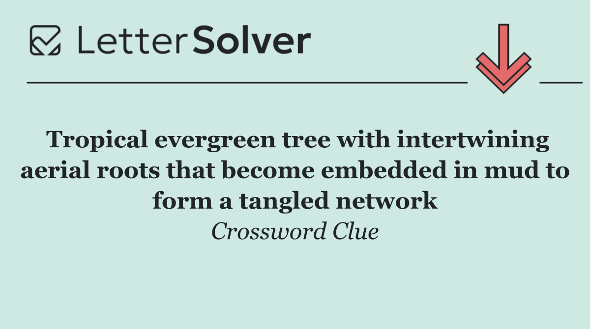 Tropical evergreen tree with intertwining aerial roots that become embedded in mud to form a tangled network