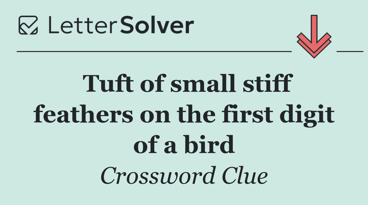 Tuft of small stiff feathers on the first digit of a bird