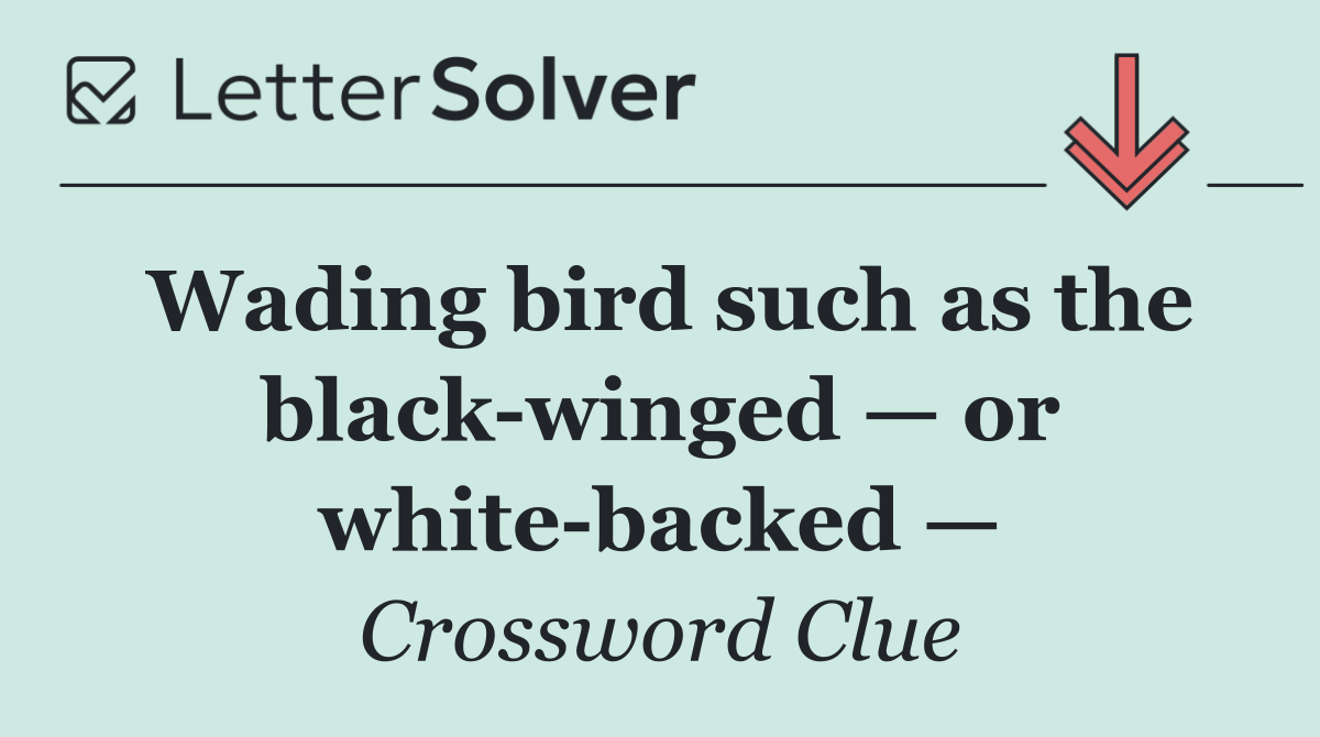 Wading bird such as the black winged — or white backed —