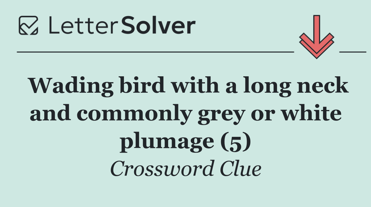 Wading bird with a long neck and commonly grey or white plumage (5)